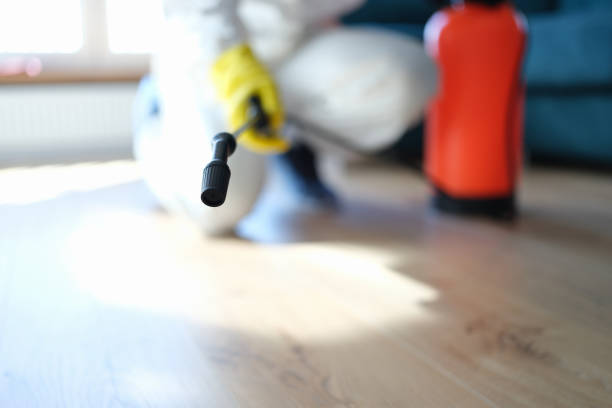 Best Commercial Mold Inspection  in Lexington Hills, CA